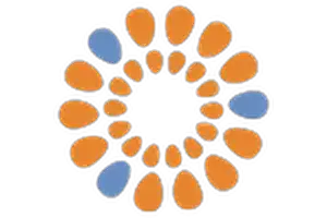 Brigid Collins Family Support Center Logo